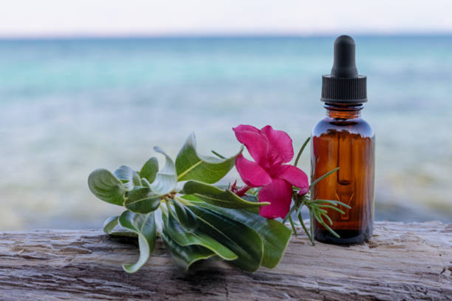 Homeopatie & Bachovy květové esence. Milan Novák, diplomovaný homeopat, osobní poradenství